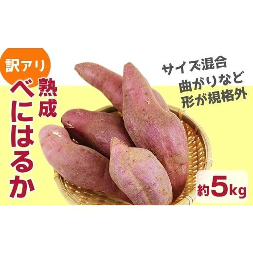 ふるさと納税 野菜類 サツマイモ 大分県 臼杵市 訳アリ 形に訳あり 臼杵市野津町産 さつまいも べにはるか 5kg