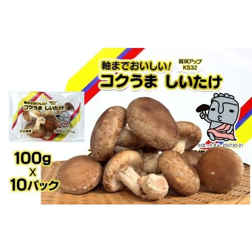 ふるさと納税 野菜類 きのこ 大分県 臼杵市 軸までおいしい コクうま 生しいたけ(100g×10パック)
