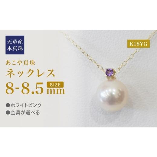 ふるさと納税 アクセサリー ネックレス 熊本県 天草市 S101-505_あこや真珠 ペンダント ネックレス 8mm - 8.5mm 天草 熊本 ホワイトピンク 誕生石 2月 アメシ…