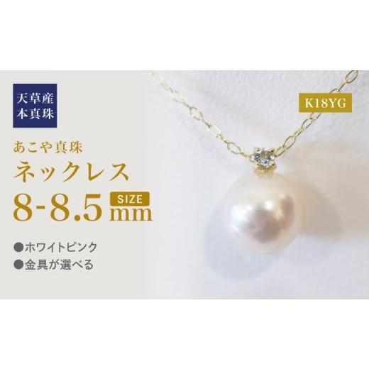 ふるさと納税 アクセサリー ネックレス 熊本県 天草市 S101-508_あこや真珠 ペンダント ネックレス 8mm - 8.5mm 天草 熊本 ホワイトピンク 誕生石 3月 アクア…