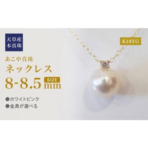 ふるさと納税 アクセサリー ネックレス 熊本県 天草市 S101-511_あこや真珠 ペンダント ネックレス 8mm - 8.5mm 天草 熊本 ホワイトピンク 誕生石 4月 ダイヤ…