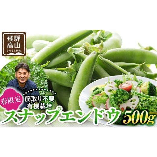 ふるさと納税 野菜類 岐阜県 高山市 飛騨高山産 筋取り不要の有機栽培スナップエンドウ500g(春限定・5〜6月発送)|新鮮 春野菜 旬の味覚 えんどう 彩り野菜 …