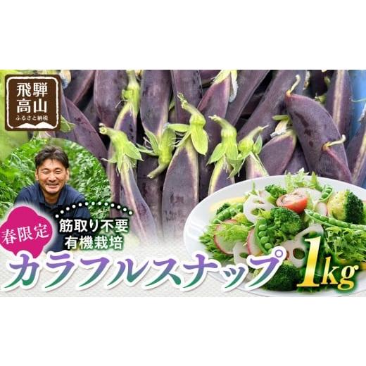 ふるさと納税 野菜類 岐阜県 高山市 春の食卓を彩る 飛騨高山産 有機栽培スナップエンドウ 1kg(緑色・紫色の混合)(春限定・5〜6月発送)|新鮮 春野菜 旬の…