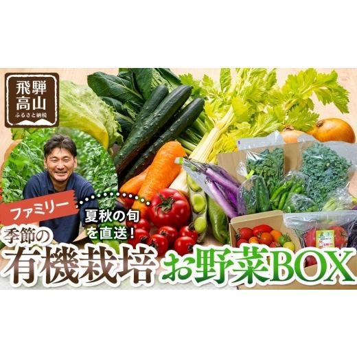 ふるさと納税 セット・詰合せ 岐阜県 高山市 飛騨高山産 季節の有機栽培お野菜BOX（ファミリー）お届け：6月〜10月｜ファミリー 新鮮 有機野菜 旬野菜 地元野…の画像