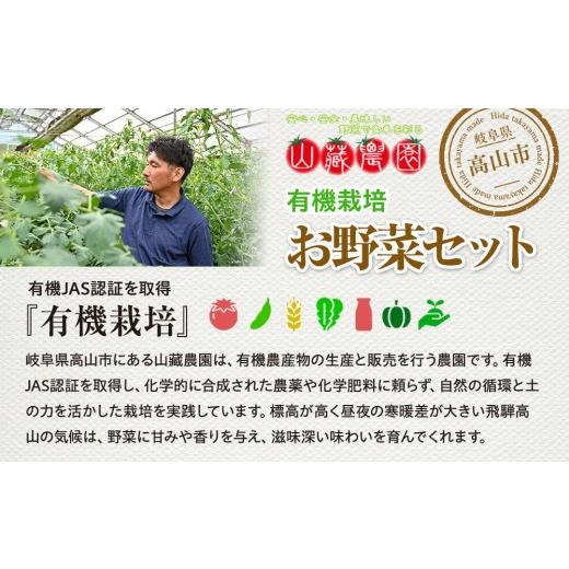 ふるさと納税 セット・詰合せ 岐阜県 高山市 飛騨高山産 季節の有機栽培お野菜BOX（ファミリー）お届け：6月〜10月｜ファミリー 新鮮 有機野菜 旬野菜 地元野…の画像