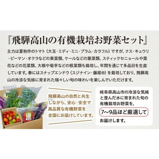 ふるさと納税 セット・詰合せ 岐阜県 高山市 飛騨高山産 季節の有機栽培お野菜BOX（ファミリー）お届け：6月〜10月｜ファミリー 新鮮 有機野菜 旬野菜 地元野…の画像
