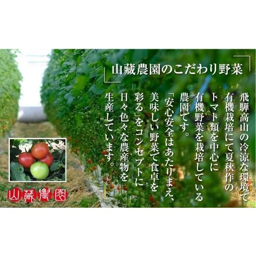 ふるさと納税 セット・詰合せ 岐阜県 高山市 飛騨高山産 季節の有機栽培お野菜BOX（ファミリー）お届け：6月〜10月｜ファミリー 新鮮 有機野菜 旬野菜 地元野…の画像