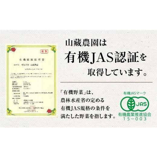 ふるさと納税 セット・詰合せ 岐阜県 高山市 飛騨高山産 季節の有機栽培お野菜BOX（ファミリー）お届け：6月〜10月｜ファミリー 新鮮 有機野菜 旬野菜 地元野…の画像