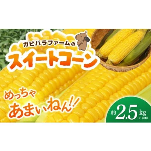 ふるさと納税 とうもろこし 大阪府 泉佐野市 先行予約 とうもろこし(甘いんですパワー85) 約2.5kg(7〜8本) とうもろこし トウモロコシ 甘い スイーツ デザ…