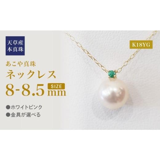 ふるさと納税 アクセサリー ネックレス 熊本県 天草市 S101-514_あこや真珠 ペンダント ネックレス 8mm - 8.5mm 天草 熊本 ホワイトピンク 誕生石 5月 エメラ…