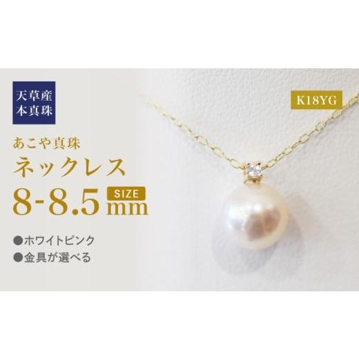 ふるさと納税 アクセサリー ネックレス 熊本県 天草市 S101-517_あこや真珠 ペンダント ネックレス 8mm - 8.5mm 天草 熊本 ホワイトピンク 誕生石 6月 ムーン…