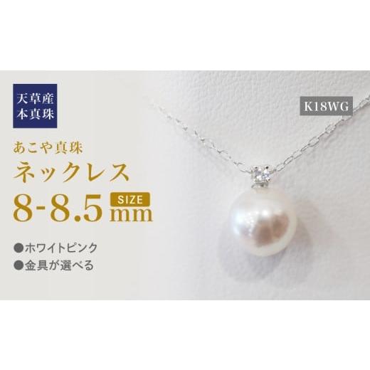 ふるさと納税 アクセサリー ネックレス 熊本県 天草市 S101-518_あこや真珠 ペンダント ネックレス 8mm - 8.5mm 天草 熊本 ホワイトピンク 誕生石 6月 ムーン…