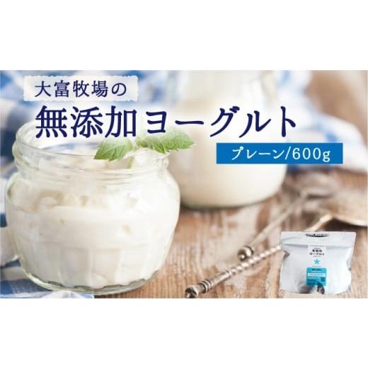 ふるさと納税 加工品等 佐賀県 上峰町 大富牧場の無添加ヨーグルト プレーンヨーグルト600g×1 プレーンヨーグルト 600g×1