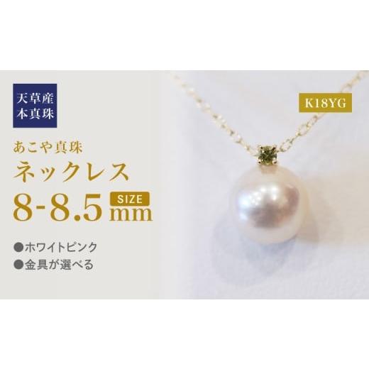 ふるさと納税 アクセサリー ネックレス 熊本県 天草市 S101-523_あこや真珠 ペンダント ネックレス 8mm - 8.5mm 天草 熊本 ホワイトピンク 誕生石 8月 ペリド…