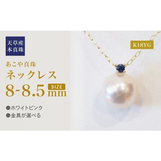 ふるさと納税 アクセサリー ネックレス 熊本県 天草市 S101-526_あこや真珠 ペンダント ネックレス 8mm - 8.5mm 天草 熊本 ホワイトピンク 誕生石 9月 サファ…