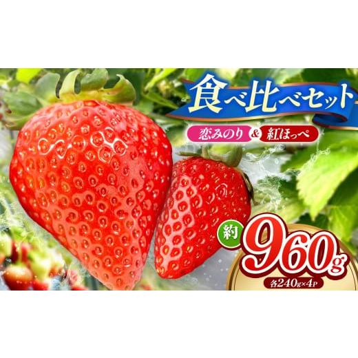 ふるさと納税 いちご 山口県 平生町 「 紅ほっぺ 」「 恋みのり 」 食べ比べ セット 各 240g × 1パック 計 4パック ( 約 960g ) | 紅ほっぺ 恋みのり 食…