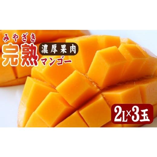ふるさと納税 マンゴー 宮崎県 小林市 2026年発送 先行予約 生産農家応援・濃厚果肉 みやざき完熟マンゴー 2L×3玉(マンゴー フルーツ アップルマンゴー 果…