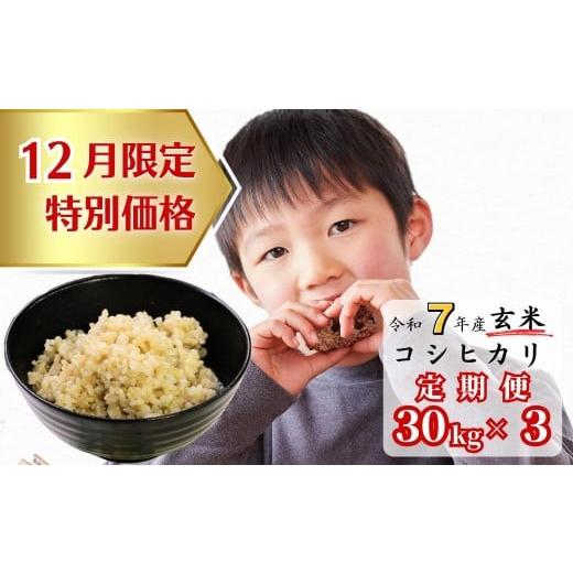 ふるさと納税 米 コシヒカリ 岡山県 西粟倉村 [12月限定特別価格] 3回定期便 玄米 30kg 令和7年産 コシヒカリ 岡山 あわくら源流米 K-ad-BEHA