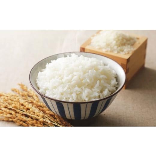 ふるさと納税 米 コシヒカリ 滋賀県 栗東市 令和7年度産 栗東産 こんぜ清流米 コシヒカリ5kg / 白米 お米 ご飯 コメ 特別栽培米 近江米 / 栗東市 / レーク…