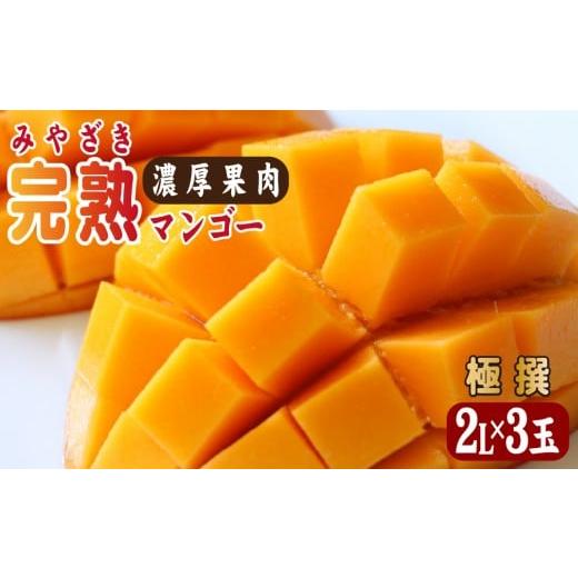 ふるさと納税 マンゴー 宮崎県 小林市 2026年発送 先行予約 生産農家応援・濃厚果肉 みやざき完熟マンゴー極撰 2L×3玉(マンゴー フルーツ アップルマンゴー…