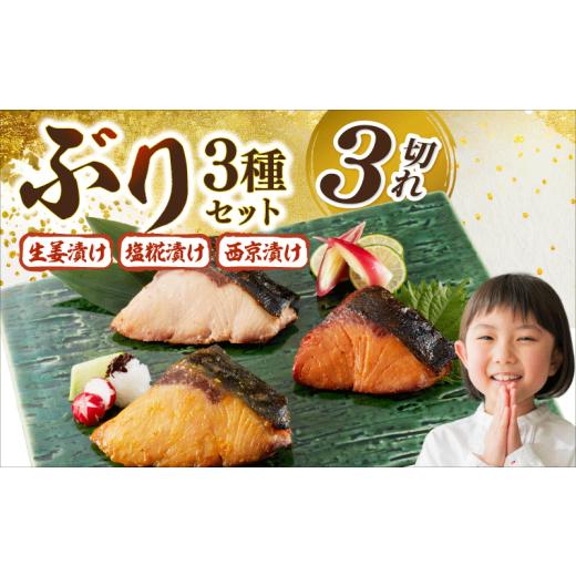 ふるさと納税 旬の鮮魚等 高知県 宿毛市 ぶり漬け焼き贅沢セット(3種各1個入り) 3個入り ( 5,000円 )