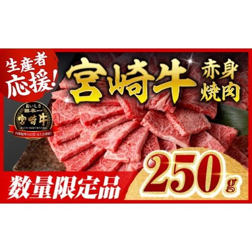 ふるさと納税 牛肉 すき焼き 宮崎県 川南町 令和8年5月発送 宮崎牛 赤身(ウデorモモ)焼肉250g 牛肉 スライス 牛 肉 A4ランク 4等級 A5ランク 5等級 焼肉 令…