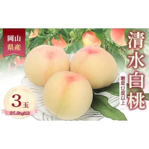 ふるさと納税 もも 岡山県 赤磐市 桃 2026年 数量限定 清水白桃 糖度12度以上 3玉 計1.0kg以上 岡山県 赤磐市産