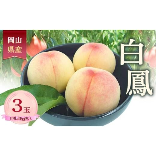 ふるさと納税 もも 岡山県 赤磐市 桃 2026年 数量限定 白鳳 3玉 計1.0kg以上 岡山県 赤磐市産