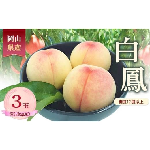 ふるさと納税 もも 岡山県 赤磐市 桃 2026年 数量限定 白鳳 糖度12度以上 3玉 計1.0kg以上 岡山県 赤磐市産