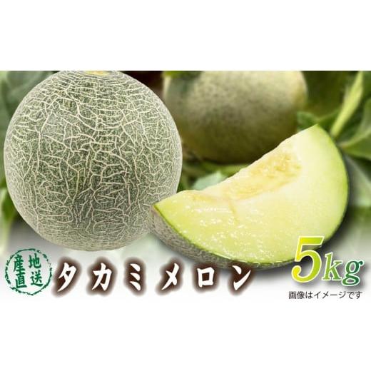 ふるさと納税 メロン メロン青肉 宮崎県 小林市 2026年発送 先行予約 生産農家応援・もぎたて直送 タカミメロン 5kg程度(メロン フルーツ 果物 くだもの 先…