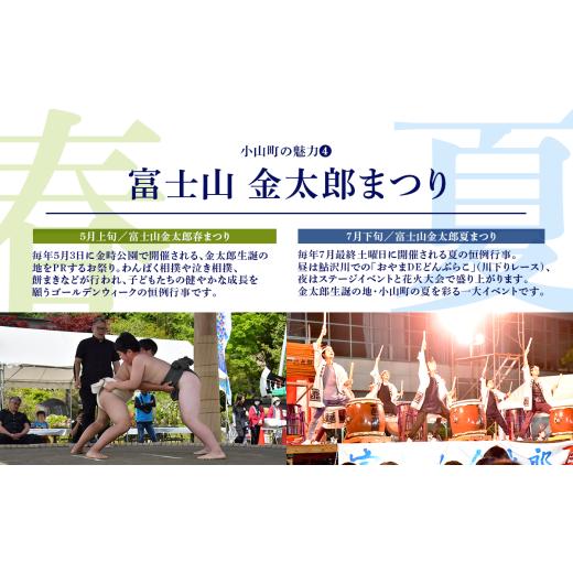 ふるさと納税 御菓子 おかき 静岡県 小山町 天津御姉屋 米菓 詰合わせ（M）揚論なく・ひと休みあられ │ おかき 煎餅 おせんべい 和菓子 御菓子 差し上げ物 スイーツ お兄ちゃん 静岡…
