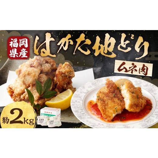 ふるさと納税 鶏肉 ムネ 福岡県 糸田町 M251 福栄組合 はかた地どりむね肉 計2kg 地どり 鳥肉 むね肉 料理 晩御飯 冷凍 福岡県 糸田町