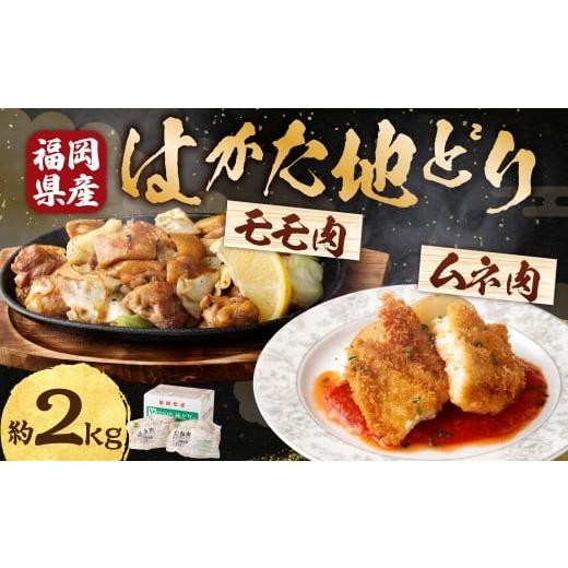 ふるさと納税 鶏肉 モモ 福岡県 糸田町 M252 福栄組合 はかた地どりもも肉とむね肉のセット 計2kg 地どり 鳥肉 もも肉 むね肉 セット 料理 晩御飯 冷凍 福岡…