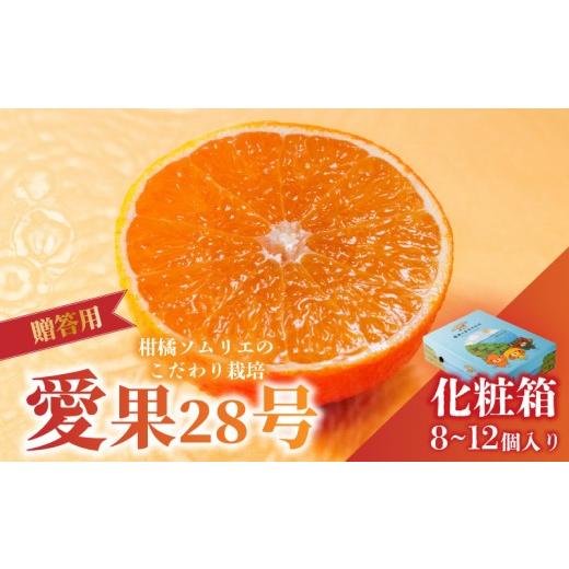 ふるさと納税 果物類 みかん 愛媛県 松山市 愛果28号 (紅まどんな と同品種) みきゃん 化粧箱 8玉から12玉 2026年11月下旬より順次発送 あいか 紅まどんな 紅…