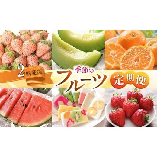 ふるさと納税 果物の詰合せ 熊本県 玉名市 定期便 熊本人気フルーツ 旬な季節に合計2回発送 | フルーツ 果物 くだもの 旬 人気 定期 定期便 熊本県 玉名市 定…