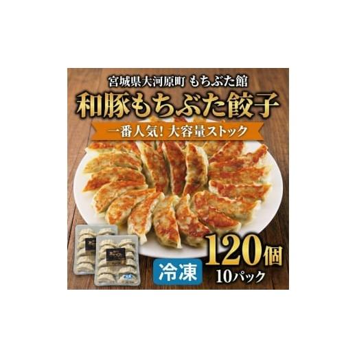 ふるさと納税 惣菜・レトルト 冷凍 宮城県 大河原町 大容量 和豚もちぶた 餃子 120個 (12個×10P) 宮城県 大河原町産 肉汁 溢れる 冷凍 ぎょうざ おかず スト…