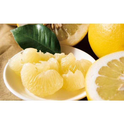 ふるさと納税 メロン メロン赤肉 高知県 宿毛市 土佐文旦 約3.5kg 家庭用 家庭用 約3.5kg ( 6,000円 )