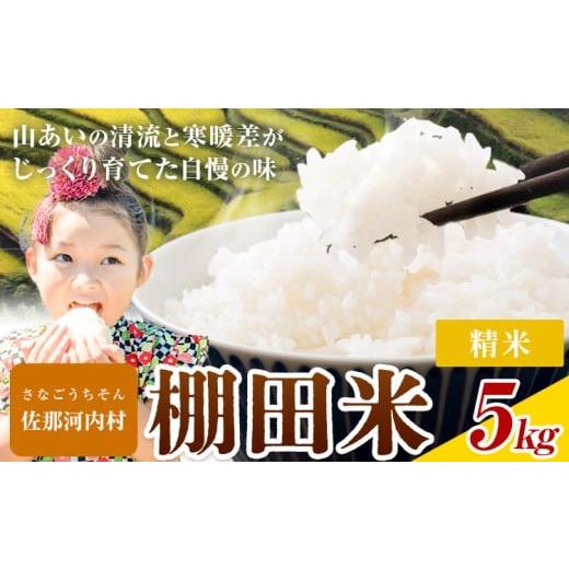 ふるさと納税 米 徳島県 佐那河内村 7-14営業日発送 清流と寒暖差が生む村自慢の棚田米 精米 5kg[7-14営業日発送(土日祝除く)]徳島県 佐那河内村 お米 米 白…