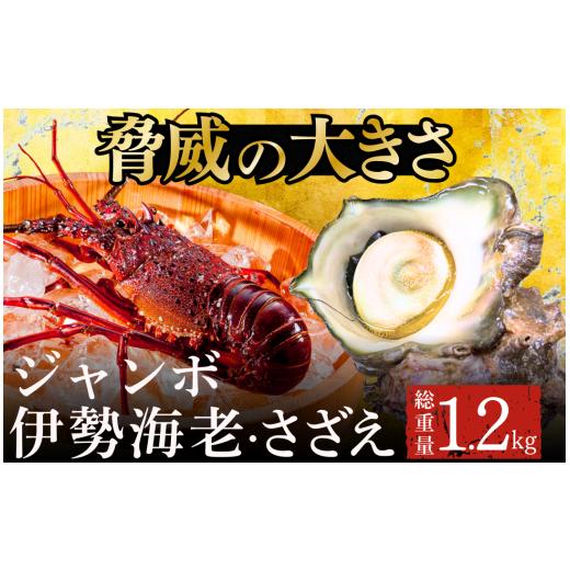 ふるさと納税 エビ 伊勢エビ 静岡県 南伊豆町 ジャンボ伊勢海老・ジャンボざざえセット A 伊勢海老 いせえび 鮮魚 海老 えび さざえ サザエ 人気 名産 高…