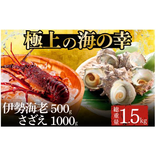 ふるさと納税 エビ 伊勢エビ 静岡県 南伊豆町 伊勢海老・ざざえセット A 伊勢海老 いせえび 鮮魚 海老 えび さざえ サザエ 人気 名産 高級 おすすめ 数量…