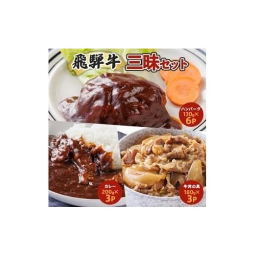 ふるさと納税 牛肉 ハンバーグ 岐阜県 笠松町 2ヵ月毎定期便 飛騨牛三昧(ハンバーグ・カレー・牛丼の冷凍食品3種セット)全3回 4079778