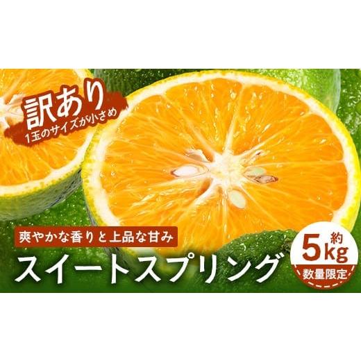 ふるさと納税 みかん・柑橘類 オレンジ 鹿児島県 南大隅町 訳あり 数量限定 鹿児島県南大隅町産 スイートスプリング (S〜M玉) 約5kg 2025年12月中旬以降順次…