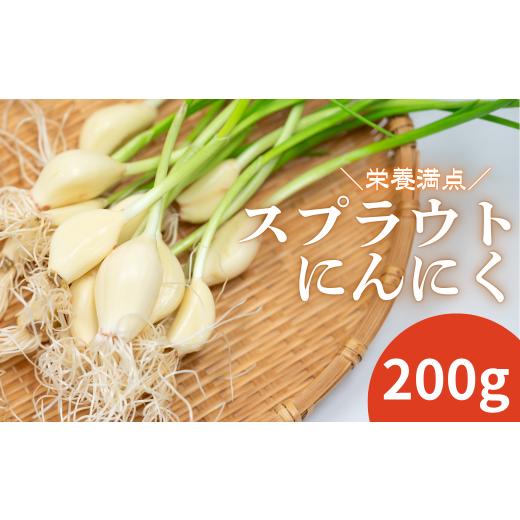 ふるさと納税 野菜類 きのこ 岩手県 西和賀町 ファーム吉五郎 スプラウトにんにく 200g