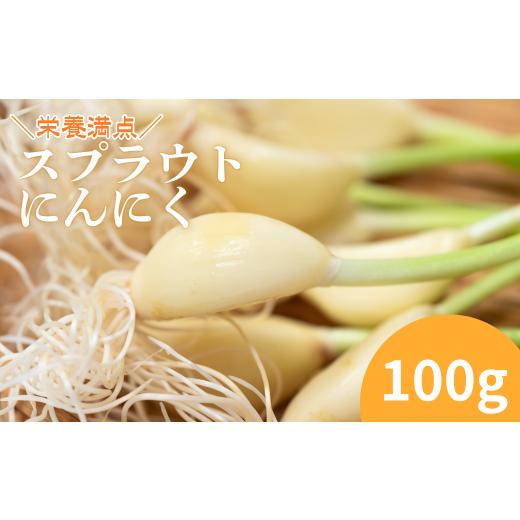 ふるさと納税 野菜類 きのこ 岩手県 西和賀町 ファーム吉五郎 スプラウトにんにく 100g