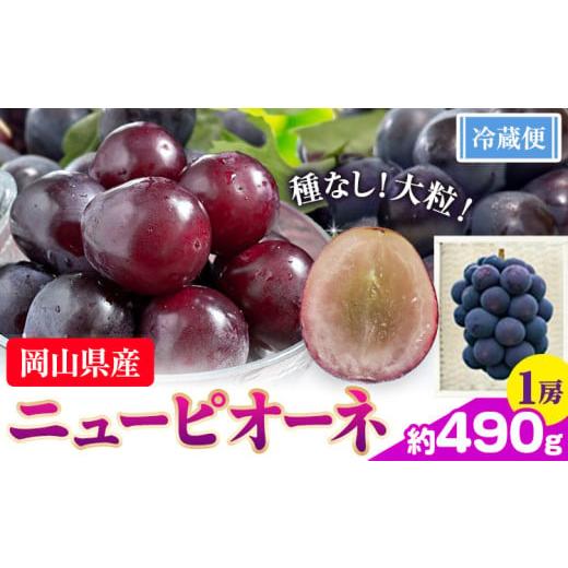 ふるさと納税 果物類 ぶどう 岡山県 浅口市 ぶどう ニューピオーネ 約 490g 1房 株式会社藍[9月中旬-10月下旬頃出荷]岡山県 浅口市 岡山県産 ぶどう フルー…