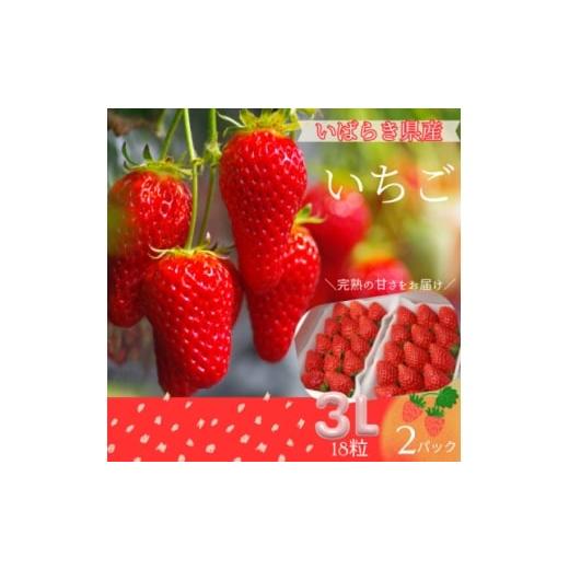 ふるさと納税 いちご 茨城県 - 菅谷いちご園の完熟いちご 3Lサイズ18粒(約420g)×2パック 1702274
