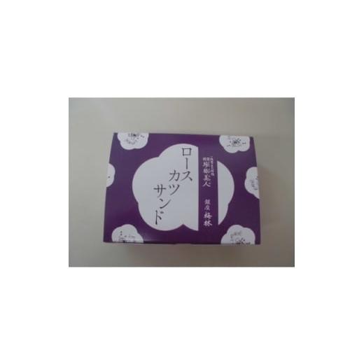 ふるさと納税 加工品等 奈良県 天理市 冷凍サンドイッチセット 1695113