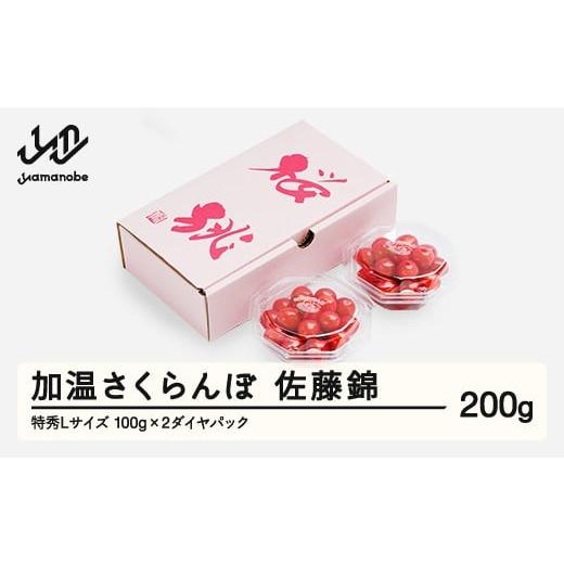 ふるさと納税 果物類 さくらんぼ 山形県 山辺町 先行予約 加温 さくらんぼ 佐藤錦 特秀Lサイズ 200g (100gx2) 5月上旬~5月下旬頃発送 プレゼント ギフト ダイ…