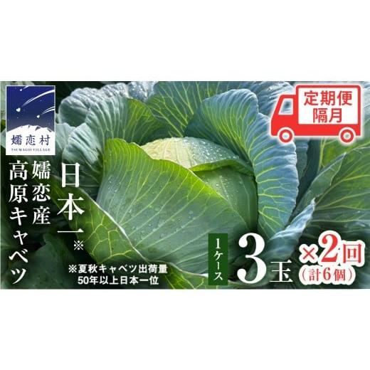 ふるさと納税 野菜類 群馬県 嬬恋村 7月中旬以降発送開始 定期便 嬬恋キャベツ 嬬恋産 高原キャベツ 3玉1ケース 隔月2回 定期便 2回 定期 旬の野菜 きゃべつ …
