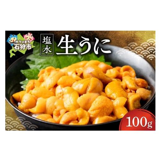 ふるさと納税 ウニ 北海道 石狩市 目利きの達人セレクト 塩水 生うに 100g(ロシア産) | ウニ 雲丹 無添加 海鮮 魚介 天然 北海道 石狩市